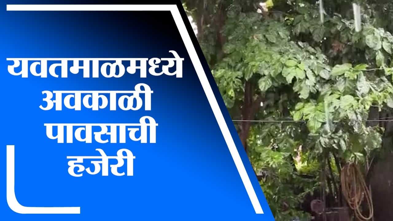 Yavatmal | यवतमाळमध्ये अवकाळी पावसाची हजेरी, रब्बी हंगामातील पिकांना फटका बसणार