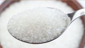 Astro Remedies | साखरेचा एक खडा तुमच्या आयुष्यातील मोठ्या समस्या सोडवू शकतो, जाणून घ्या रंजक माहिती