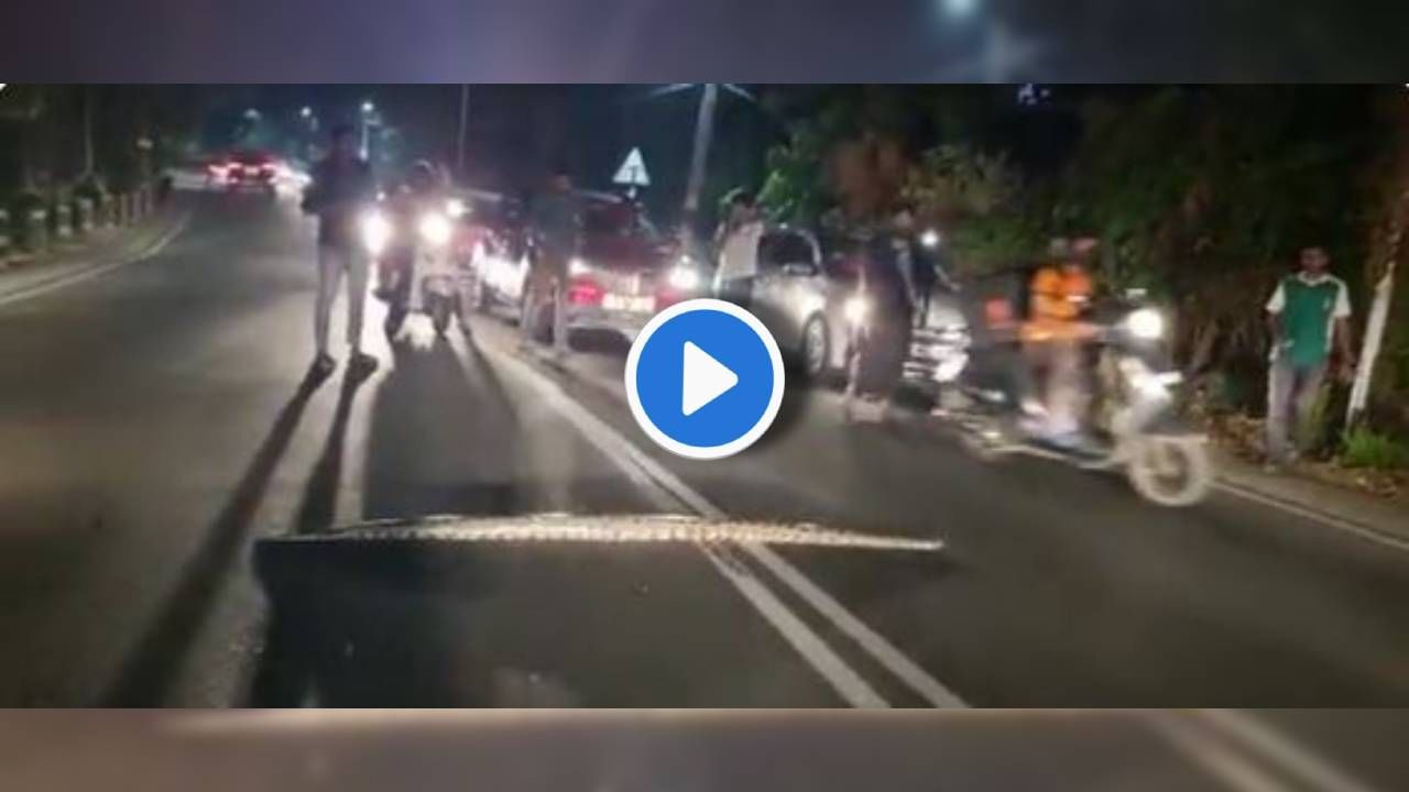 Video | तो आला, सगळ्यांनी त्याला पाहिलं आणि सगळे जागच्या जागीच थांबले! फक्त एकाला सोडून, कोण होता तो? Video | तो आला, सगळ्यांनी त्याला पाहिलं आणि सगळे जागच्या जागीच थांबले! फक्त एकाला सोडून, कोण होता तो?