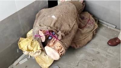Yavatmal Crime: यवतमाळमध्ये साडेसात लाखांचे 96 किलो चंदन जप्त; वन विभाग व स्थानिक गुन्हे शाखेची संयुक्त कारवाई
