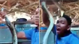 Viral : मुलीसोबत स्टंट करणं पडलं महागात, हा Video पाहून हसू आल्याशिवाय राहणार नाही