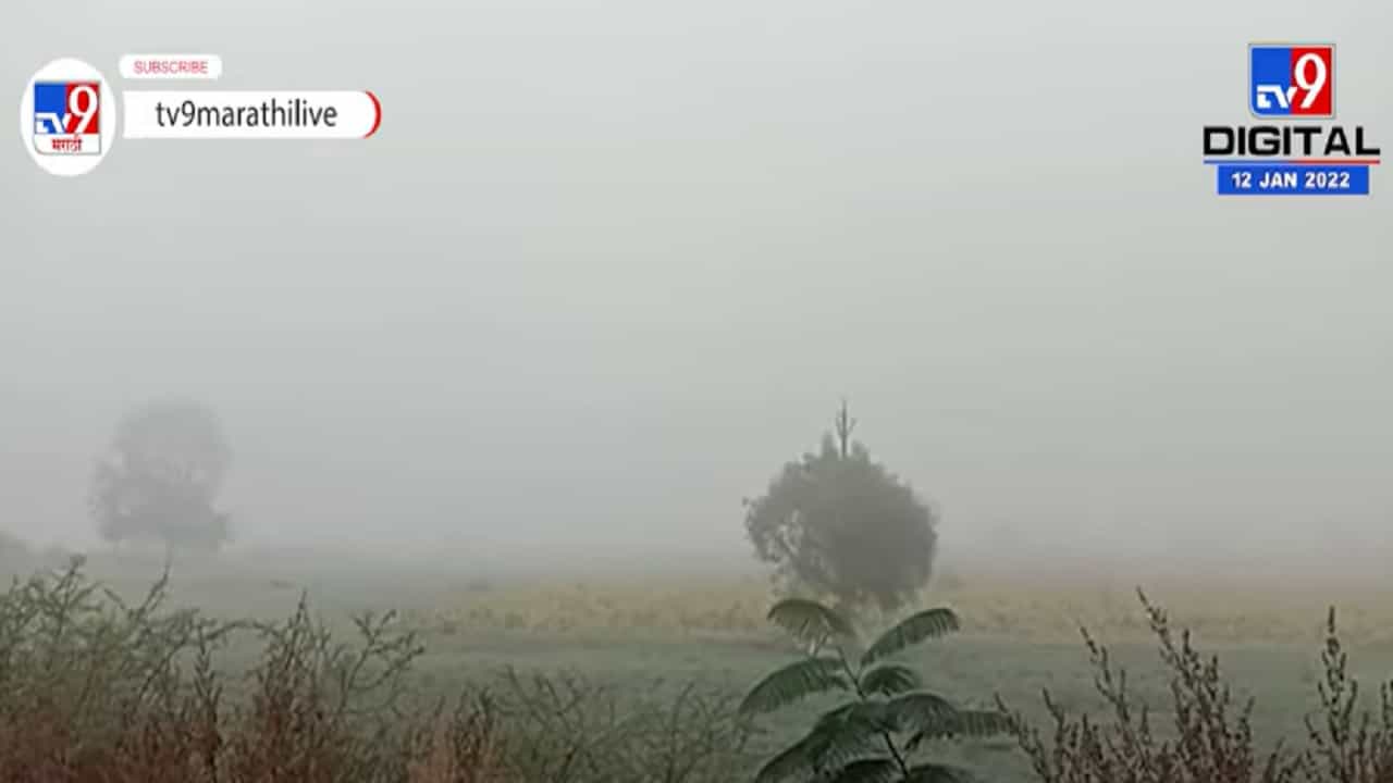 Washim | वाशिममध्ये वारंवार वातावरणात बदल, शेतकऱ्यांच्या चिंतेत वाढ