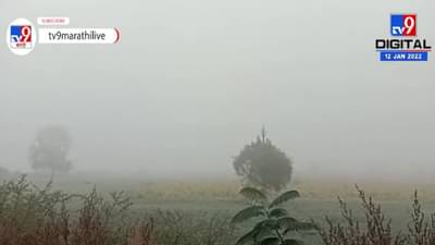 Washim | वाशिममध्ये वारंवार वातावरणात बदल, शेतकऱ्यांच्या चिंतेत वाढ