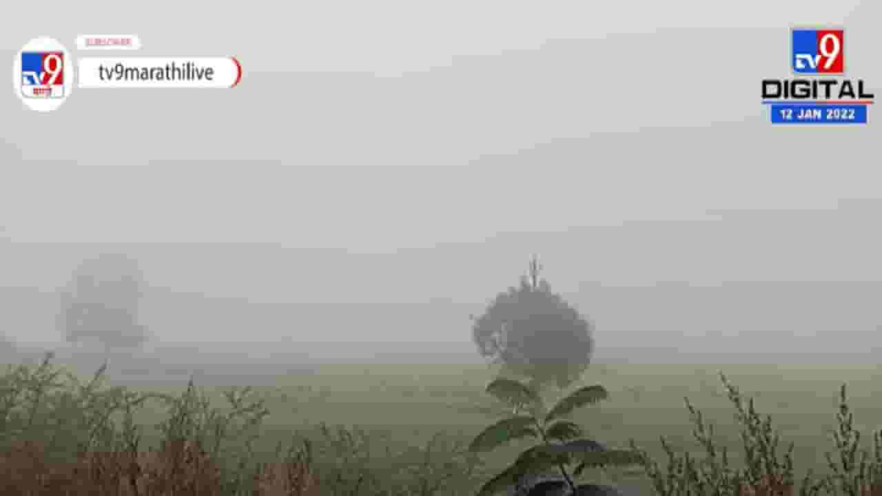 Washim | वाशिममध्ये वारंवार वातावरणात बदल, शेतकऱ्यांच्या चिंतेत वाढ Washim | वाशिममध्ये वारंवार वातावरणात बदल, शेतकऱ्यांच्या चिंतेत वाढ