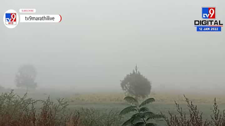 Washim | वाशिममध्ये वारंवार वातावरणात बदल, शेतकऱ्यांच्या चिंतेत वाढ Washim | वाशिममध्ये वारंवार वातावरणात बदल, शेतकऱ्यांच्या चिंतेत वाढ