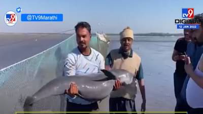 मच्छीमाराच्या जाळ्यात अडकले दुर्मिळ मासा, जाळे तोडून माशांना दिले जीवदान