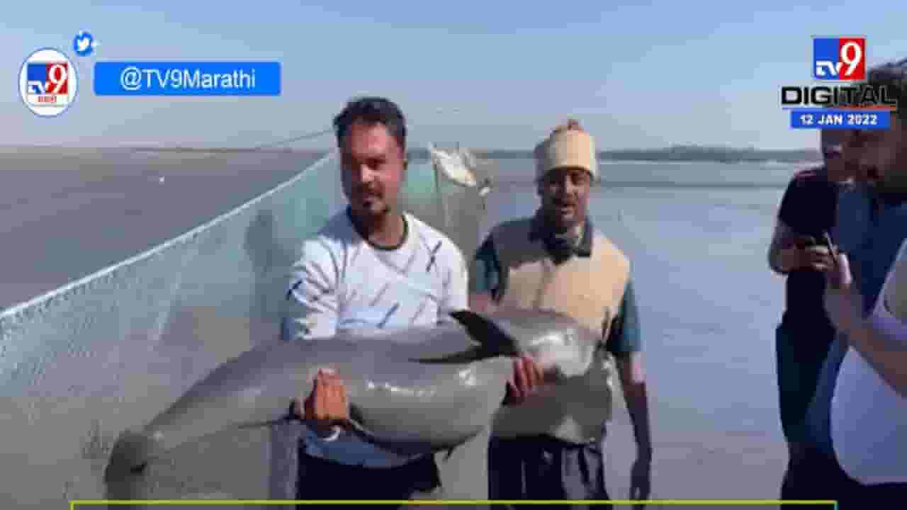 मच्छीमाराच्या जाळ्यात अडकले दुर्मिळ मासा, जाळे तोडून माशांना दिले जीवदान मच्छीमाराच्या जाळ्यात अडकले दुर्मिळ मासा, जाळे तोडून माशांना दिले जीवदान