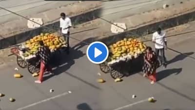 Video | चहापेक्षा किटली गरम! या म्हणीचा अर्थ या व्हिडीओत लपालाय, शिक्षिकेचा संताप पाहून लोकं भडकले