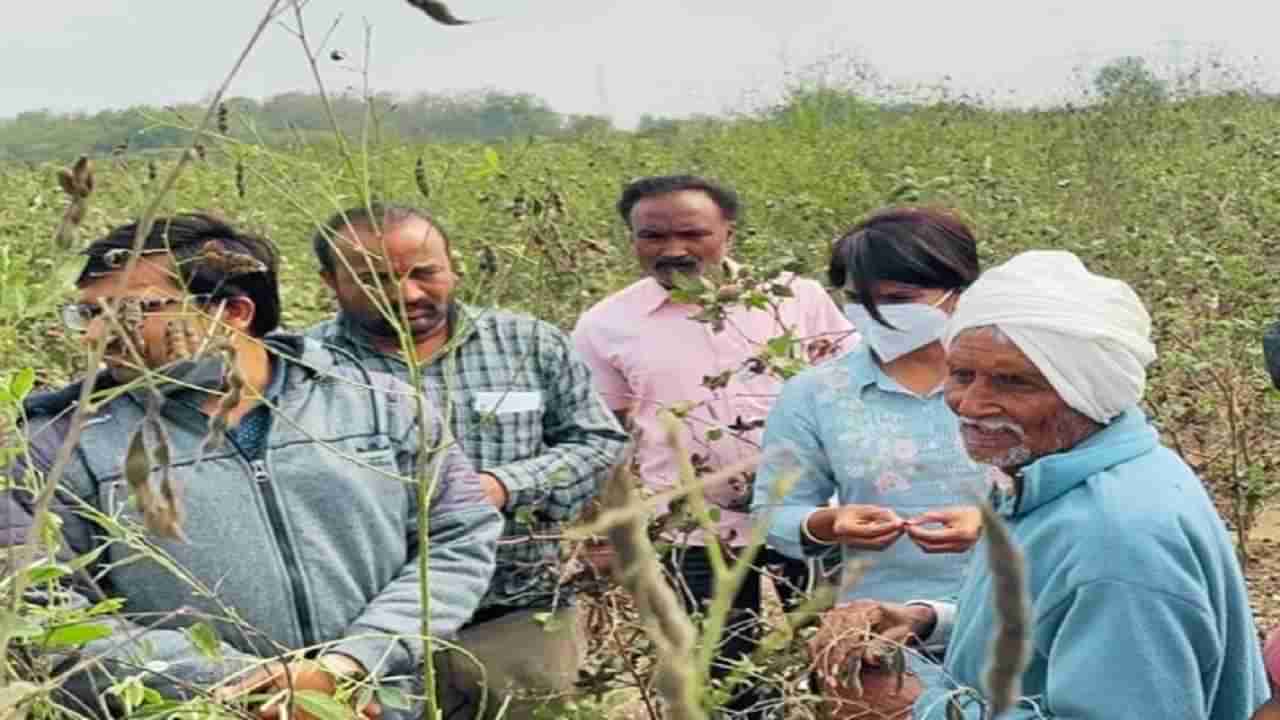 weather forecast | विदर्भात ऊन-पावसाचा खेळ सुरूच; येत्या दोन दिवसांत काय सांगतो हवामानाचा अंदाज?