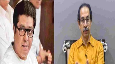 मराठी पाट्यांचं श्रेय लाटण्याचा आचरटपणा करू नका, मनसे अध्यक्ष राज ठाकरेंचा उद्धव ठाकरे सरकारला इशारा!