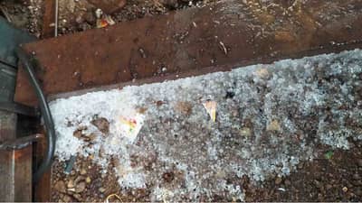 Hailstorm : आता एवढंच बाकी होतं, ढगाळ वातावरणाने पिकांचे अन् गारपिटीने भाजीपाल्याचे नुकसान