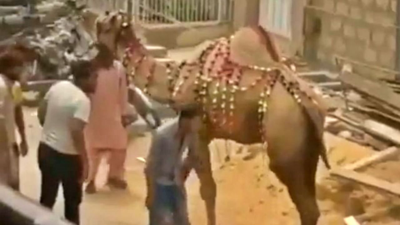 Viral Video : उंटाची छेड काढणं मुलाला पडलं महाग; यूझर्स म्हणतात, हे तर कर्माचं फळ! 