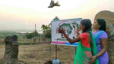 बळ दे पखांना, झाडा-फुला-पानांना, समाजाला अनोखा संदेश देत लेकीचा आगळा वेगळा वाढदिवस, बीडच्या निसर्गप्रेमीचं मोठ्ठं गिफ्ट!