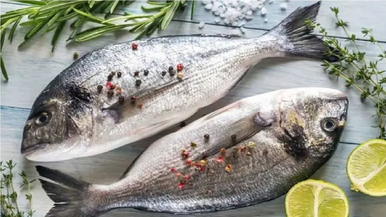 Health Tips | मासे खावे वाटतात, आहारात जास्त समावेश करता ? मग होणारे संभाव्य आजार नक्की वाचा