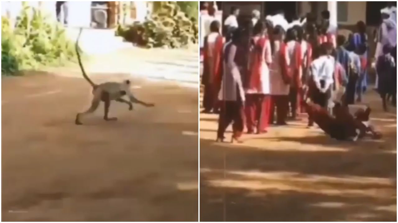 Viral Video : शांतपणे उभ्या असलेल्या मुलीवर माकडानं केला हल्ला, बाकीची मुलं घाबरली