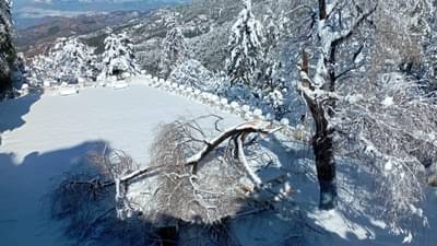 हॅलो श्रीनगर, बाय बाय स्वित्झर्लंड... आनंद महिंद्रांनी शेअर केले हुडहुडी भरवणारे सुंदर Photos