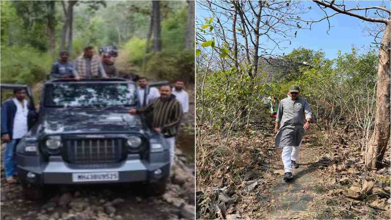 तर दुसरे खासदार संभाजीराजे छत्रपती यांनी आज जंगल सफारीचा आनंद घेतला.