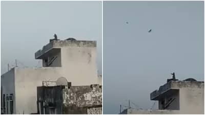 Video : ढील दे दे रे बंदर भैया... पतंगबाजीत माकडही नव्हतं मागे, संक्रांतीदिवशी छतावर चढत दिला शानदार परफॉर्मन्स