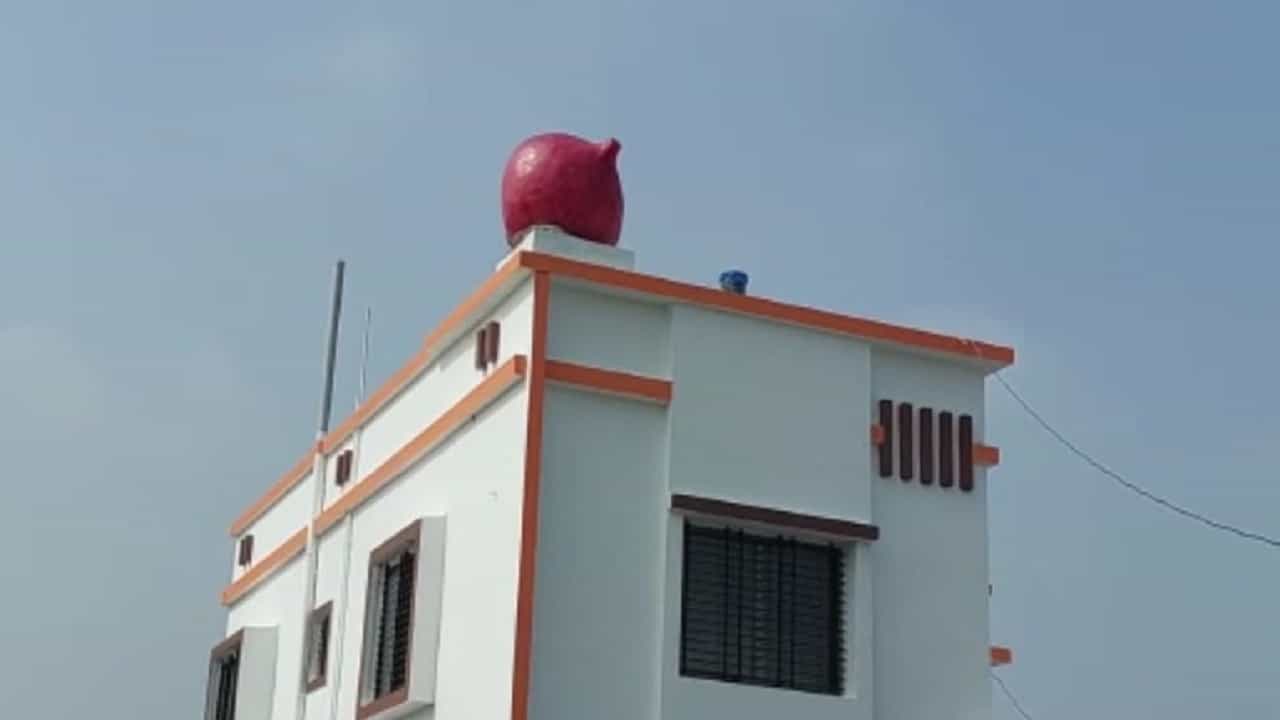 शेतकऱ्यांचा नाद खुळा : कांद्याने झाली भरभराट, घरावर 150 किलोचा स्टॅच्यू उभारुन केली उतराई