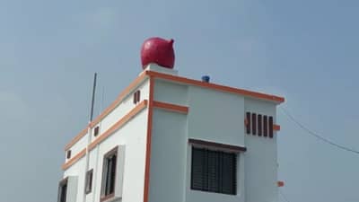 शेतकऱ्यांचा नाद खुळा : कांद्याने झाली भरभराट, घरावर 150 किलोचा स्टॅच्यू उभारुन केली उतराई