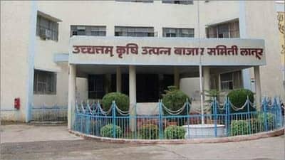 Soybean Rate: हंगामाच्या अंतिम टप्प्यात शेतकऱ्यांची भूमिका बदलली, आवक वाढली दराचे काय?