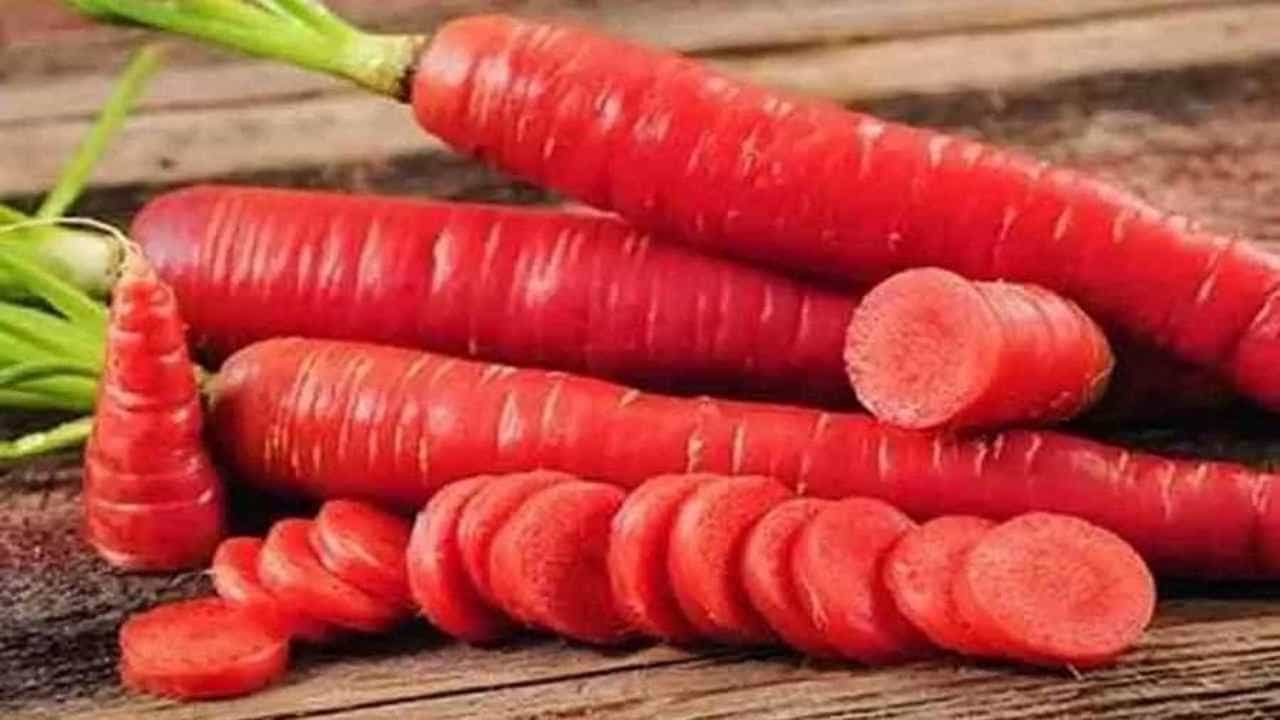 गाजर : हिवाळ्यात सहज उपलब्ध होणारे गाजर मधुमेहाच्या रुग्णांसाठी चांगले मानले जाते. या रुग्णांनी गाजर शिजवण्याऐवजी कच्चे खावे, असे डॉक्टरांचे मत आहे. उच्च फायबर सामग्रीमुळे, ते रक्तातील साखर हळूहळू सोडते.