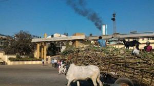 Sugar Factory : महाराष्ट्रातील 13 साखर कारखान्यांची धुराडी बंद तरीही साखर उत्पादनात राज्य अव्वल स्थानी..!