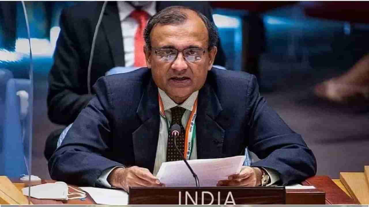 India in UNSC: पाकिस्तानात बॉम्ब स्फोटातील आरोपींना पंचतारांकित सुविधा