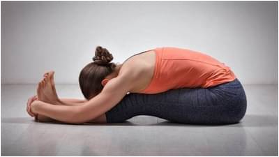 योगा करण्याचा विचार करत आहात...पण कळतं नाही कुठले योगाचे प्रकार कराचे...मग जाणून घ्या एका क्लिकवर कुठला योगा तुमचासाठी आहे बेस्ट