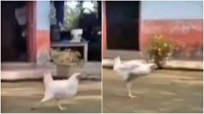 Video : Pushpaच्या अल्लू अर्जुनचा असाही फॅन.... अप्रतिम डान्स करून जिंकलं नेटकऱ्यांचं मन