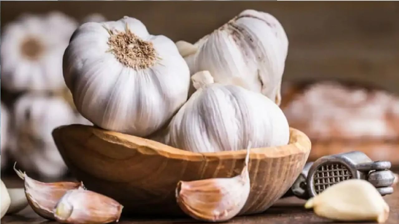 Garlic Side Effect | लसूण खात असाल तर याकडे लक्ष द्या