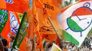 Maharashtra Nagar Panchayat Elections: नगरपंचायतचा निकाल नेमका कुणासाठी धोक्याचा इशारा आहे?; वाचा 'टीव्ही9 मराठी'चा पोल काय सांगतो!