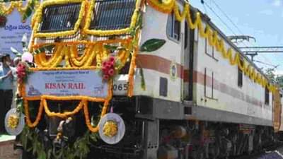 किसान रेलमुळे चिक्कूला मिळाली बाजारपेठ, शेतकऱ्यांच्या उत्पन्नात वाढ अन् खर्चात बचत