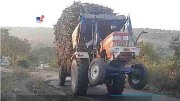 VIDEO: Beed मध्ये Tractor चालकाचा जीवघेणा Stunt, video सोशल मीडियावर viral VIDEO: Beed मध्ये Tractor चालकाचा जीवघेणा Stunt, video सोशल मीडियावर viral