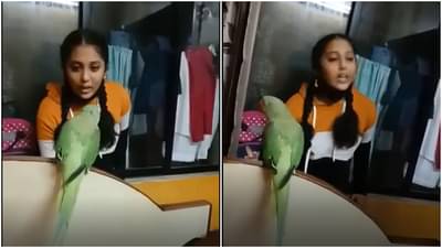 Viral Video : मिठू मिठू नाही, कडू कडू बोलतोय हा पोपट! मग मुलीनंही चांगलंच झापलं..!