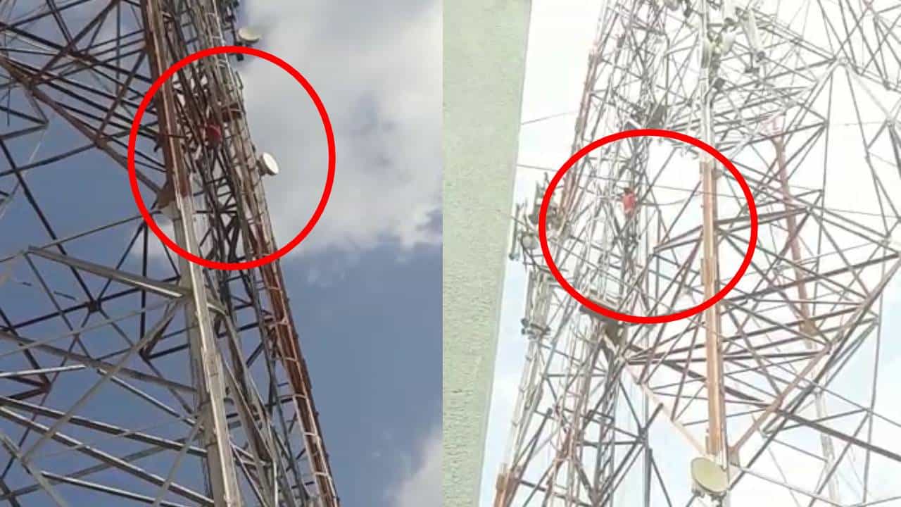 बायको गेली माहेरी, नवरा दारु ढोसून टॉवरवरी! आनंदात प्यायला की विरहात? नेमकं काय घडलं?