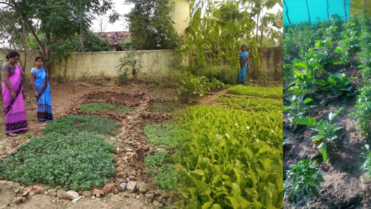 महाराष्ट्रात पोषणाची चळवळ, परसबागा नवीन वरदान - यशोमती ठाकूर