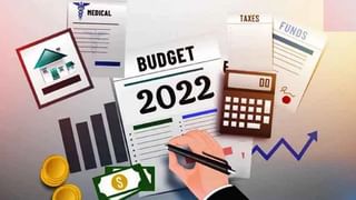 Budget 2022: कोरोनानं पर्यटन क्षेत्राला फटका, निर्मला सितारमण यांच्याकडून व्यावसायिकांच्या अपेक्षा काय ?