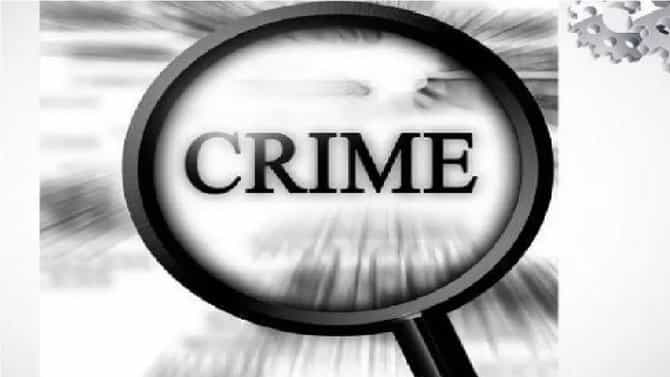 Delhi Crime : भयंकरच! प्रॉपर्टीसाठी आजीला कुत्र्यासमोर फेकले, माथेफिरू नातू मोकाट; वाचा सविस्तर प्रकरण