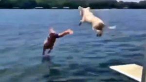 ...अन् मालकासोबत कुत्र्यानंही मारली पाण्यात उडी, 4 लाखांहून अधिक वेळा पाहिला गेलाय 'हा' Video