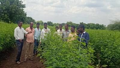 Guidance to farmers : शेतकऱ्यांसाठी चालतं-फिरतं विद्यापीठ, कृषी सल्ल्यातून बदलले शेतकऱ्यांचे जीवनमान