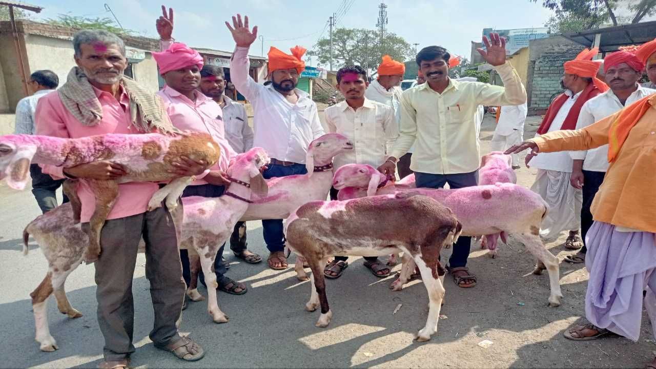  सांगलीचा माडग्याळ बाजार हा मेंढ्यांसाठी प्रसिद्ध आहे. या बाजारात विविध प्रजातीच्या मेंढ्या विक्रीसाठी येत असतात. मेंढ्या खरेदी करण्यासाठी इथे दूरवरून लोक येतात. जातीवंत मेंढ्यांसाठी हा बाजार ओळखला जातो. 
