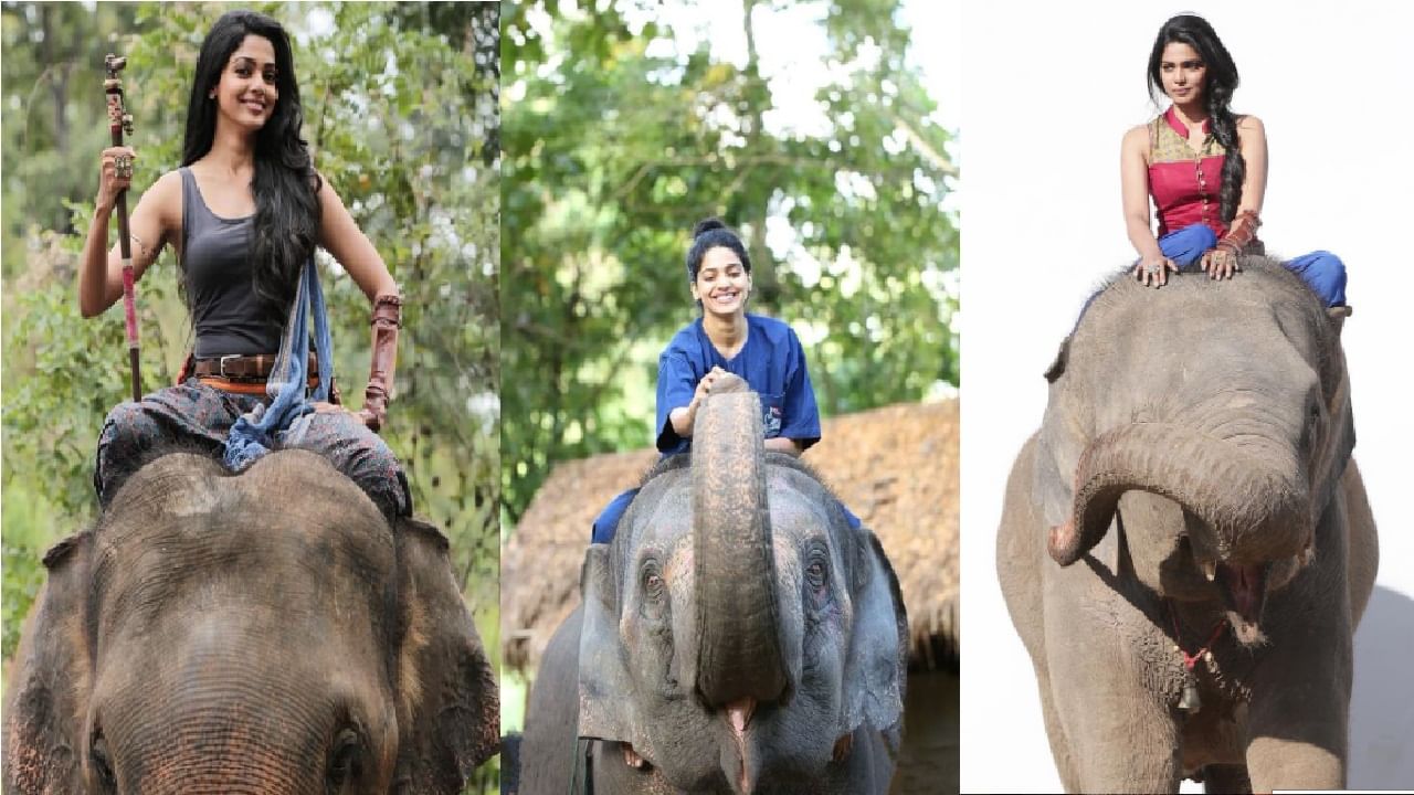 जंगल या हिंदी चित्रपटातही तिने काम केलं. या चित्रपटाच्या चित्रीकरणादरम्यान तिला हत्तींविषयी विशेष प्रेम निर्माण झालं. 
