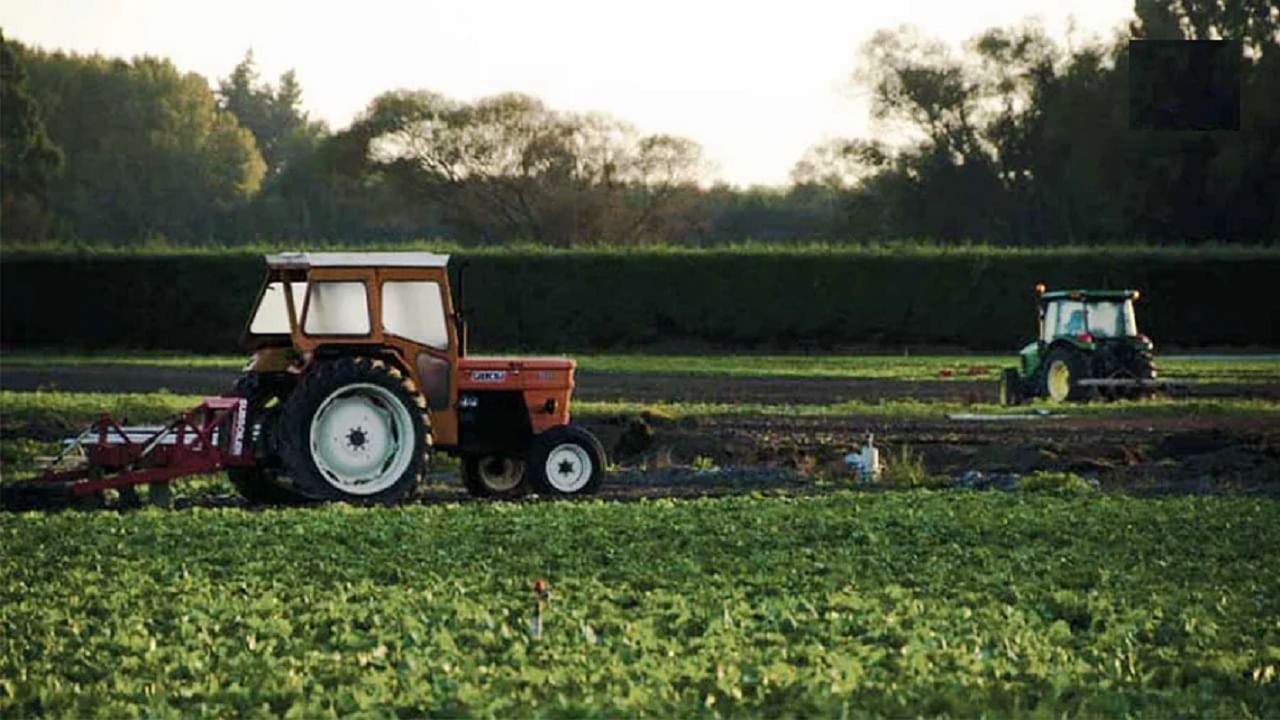 Budget 2022 : अर्थसंकल्पात शेती आणि शेतकऱ्यांना काय मिळणार? खाद्यतेलाच्या आत्मनिर्भरतेचं धोरण राहण्याची शक्यता