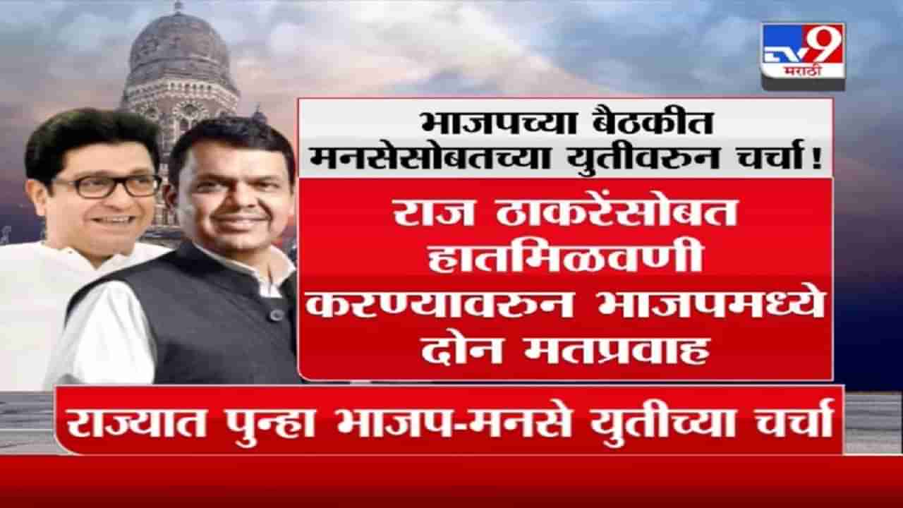 Special Report | Raj Thackeray यांच्यासोबत हातमिळवणीवरुन BJPमध्ये मतप्रवाह?