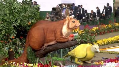 VIDEO: महाराष्ट्रातील जैववैविध्यतेने देशाचे डोळे दिपले, चित्ररथावरील या दोन प्राणी आणि पक्ष्याविषयी माहिती आहे काय?