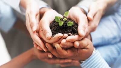 तरुणांसाठी प्रेरणादायी : शेतकरी उत्पादक कंपनीची घोडदौड, शेतीमालाच्या निर्यातीमधून उद्योग उभारणी