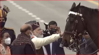 VIDEO: महाराष्ट्रातील जैववैविध्यतेने देशाचे डोळे दिपले, चित्ररथावरील ‘या’ दोन प्राणी आणि पक्ष्याविषयी माहिती आहे काय?