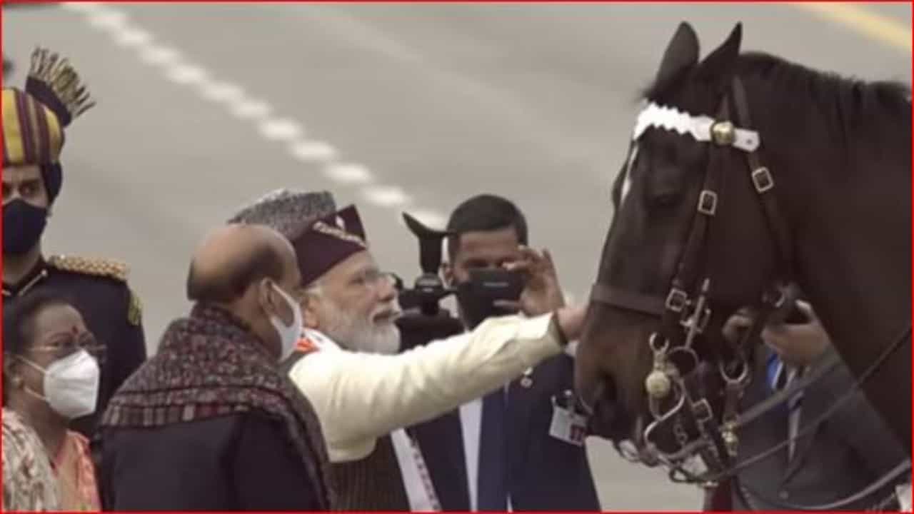 Republic Day 2022: प्रजासत्ताक दिनाच्या परेडनंतर राष्ट्रपती आणि पंतप्रधानांनी विराटला गोंजारलं; कारण काय?