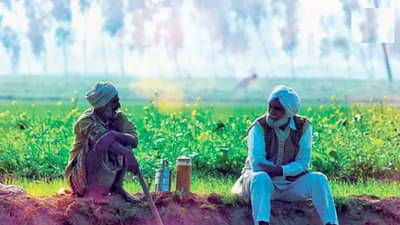 Budget 2022 : शेतकऱ्यांचं उत्पन्न वाढवण्यासाठी अर्थसंकल्पात मोठ्या घोषणांची शक्यता, पायाभूत सुविधांचा विकास, निर्यातीला प्रोत्साहन मिळणार?